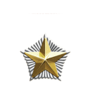 Lieutenant General